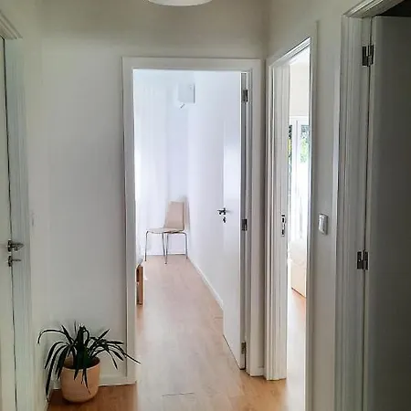 Lovely 2-bedroom - Near Center! *